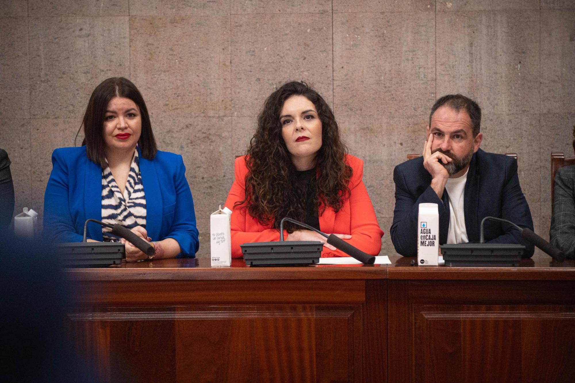 Moción de censura en Granadilla de Abona