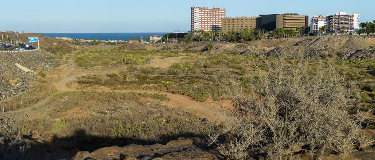 Parcela de El Veril donde la empresa Loro Parque proyecta instalar el centro recreativo Siam Park.