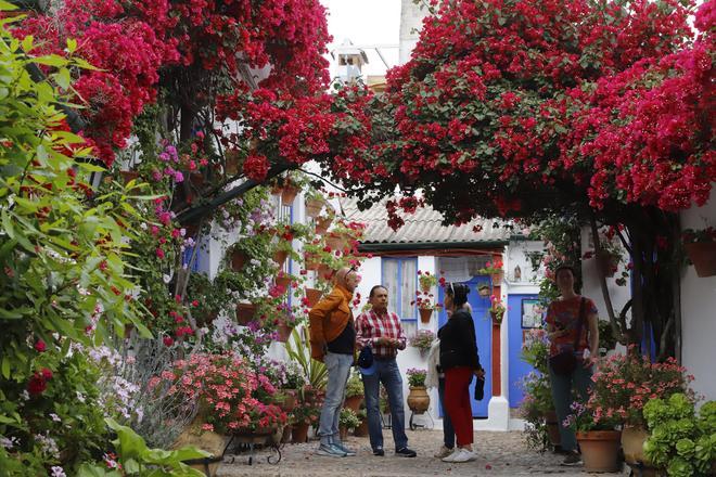 Patios de Córdoba: Marroquíes 6