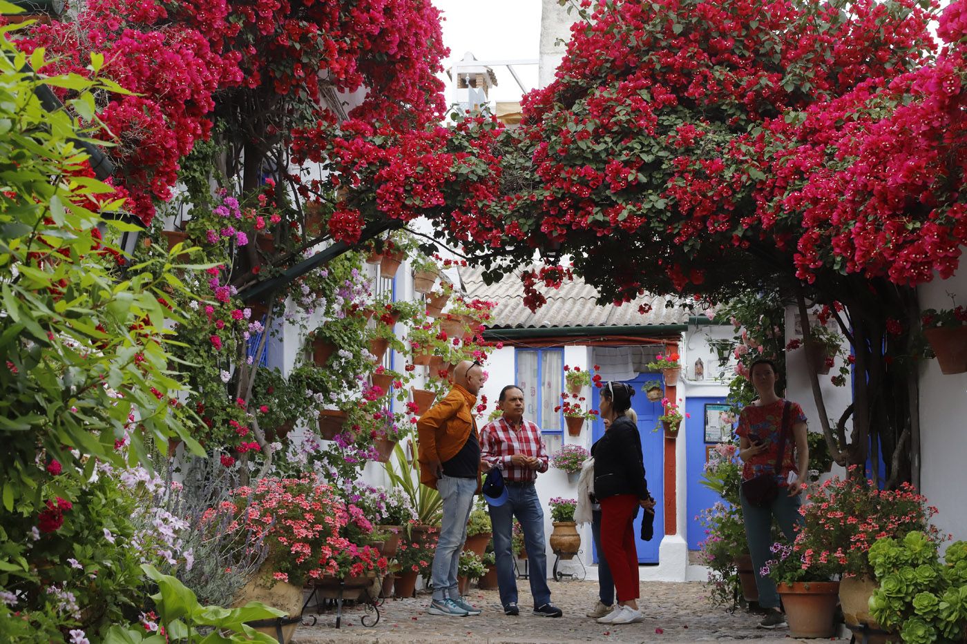 Patios de Córdoba: Marroquíes 6