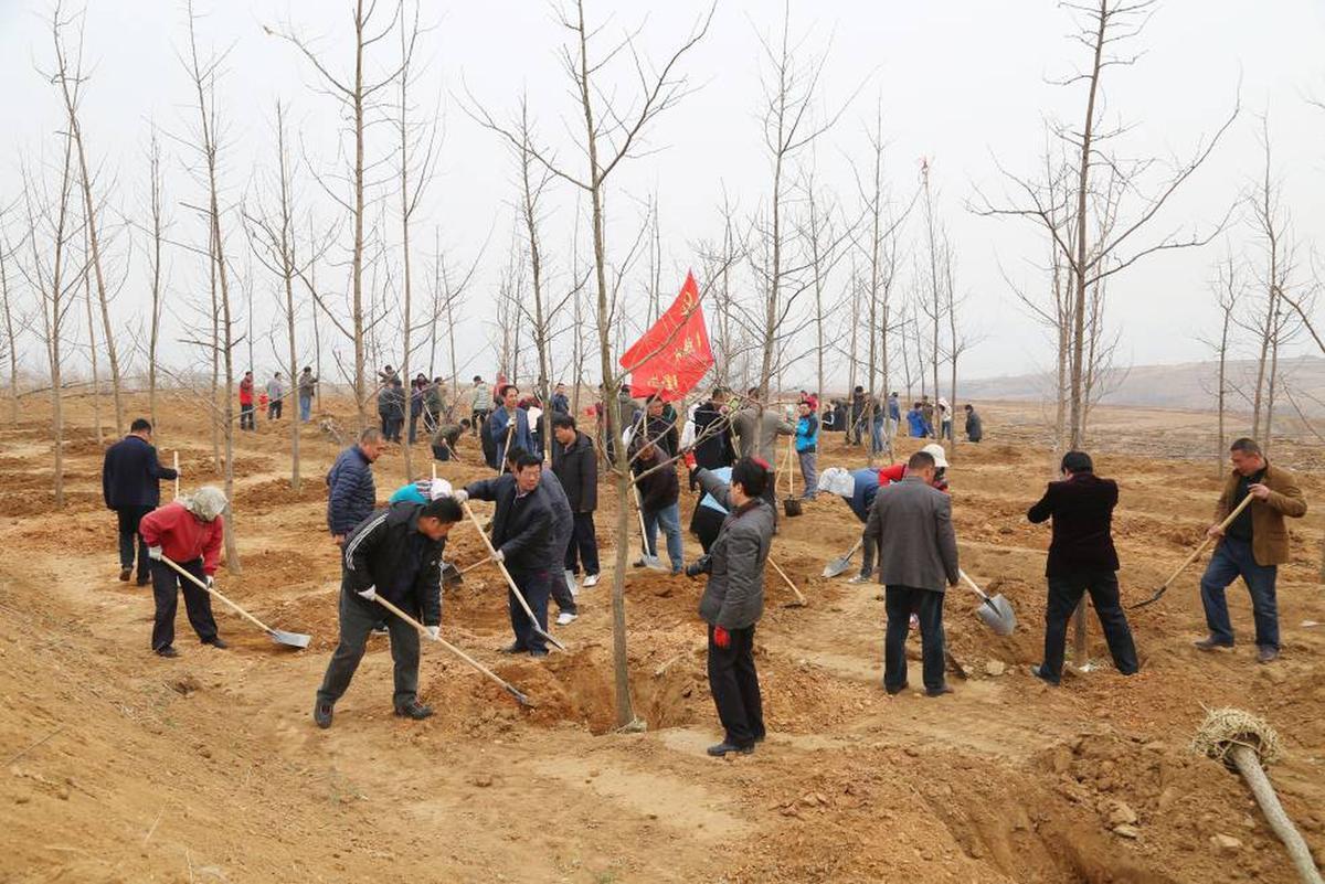 Ciudadanos chinos plantando árboles