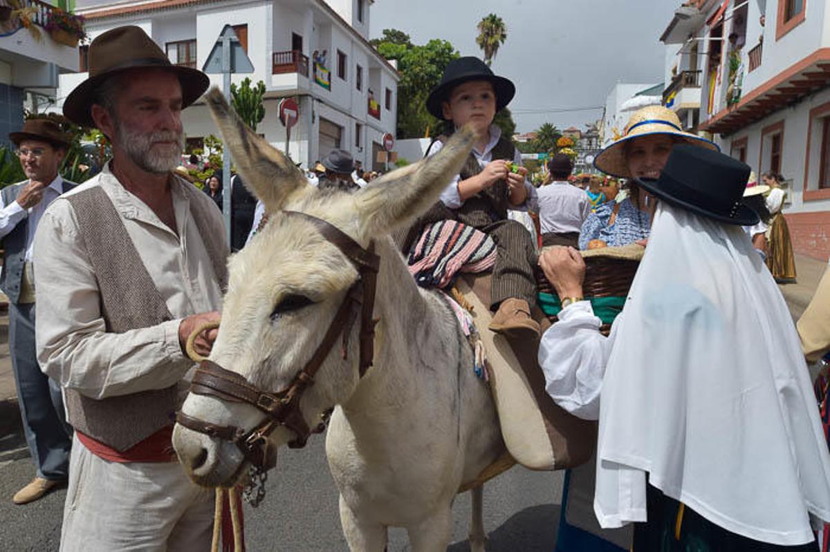 Carretas y grupos en la romería del Pino