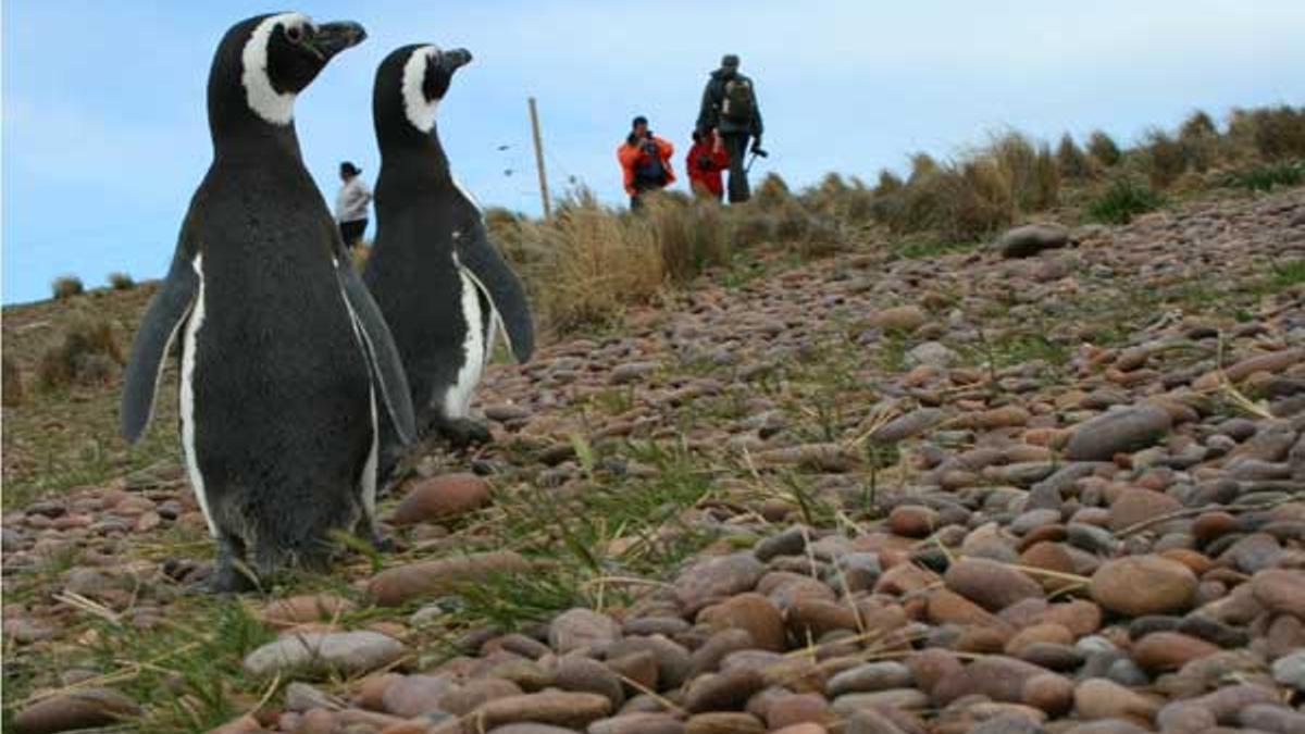 Descubrir la Patagonia Argentina a través de la Ruta Azul