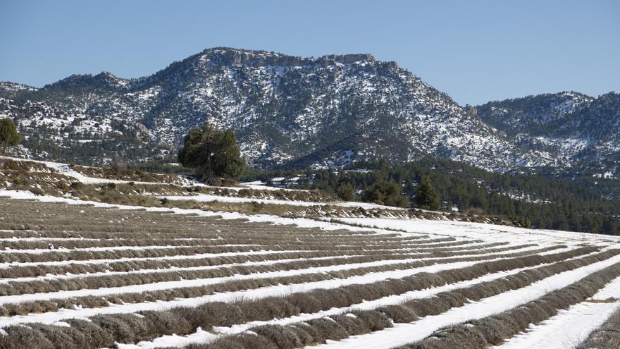 ¿Aguantará la nieve en el Noroeste este fin de semana?