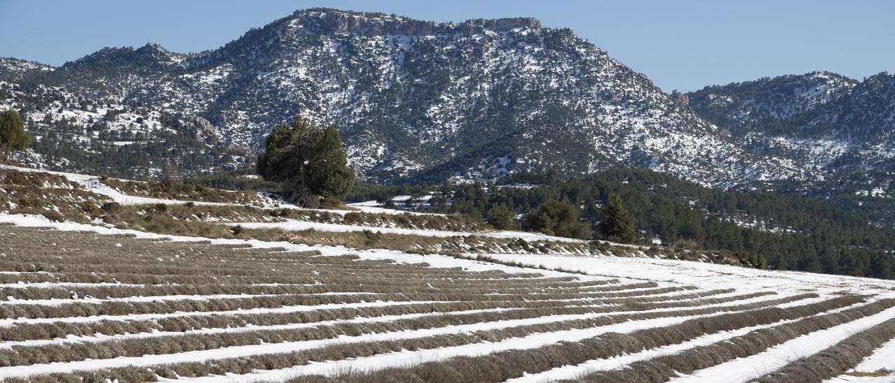 Nieve en el noroeste de la Región.