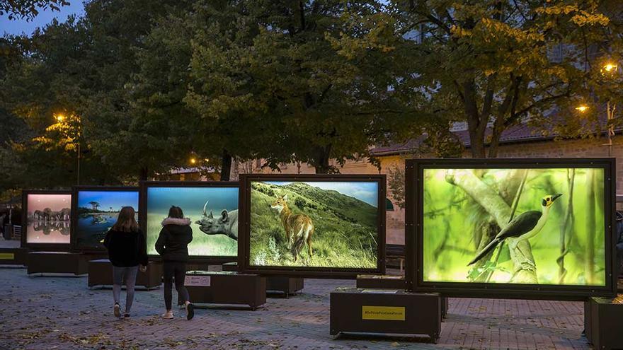 El Grao acoge una exposición de fotógrafos del National Geographic