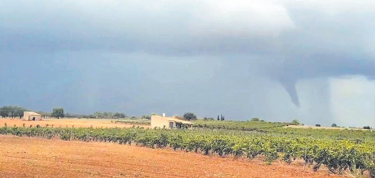 Aparecen varios ‘caps de fibló’ en Mallorca en el segundo día de alerta naranja.