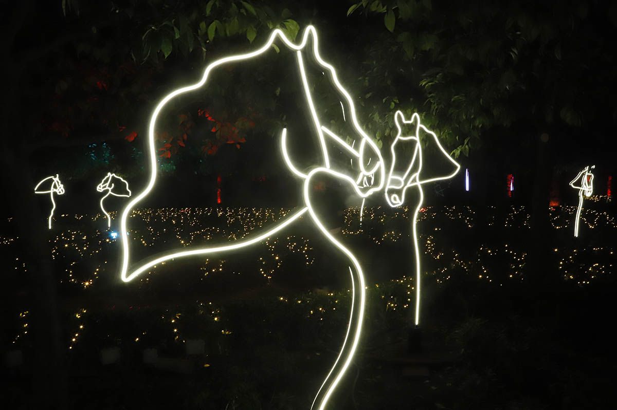 En imágenes el nuevo espectáculo Raíces en el jardín del Alcázar de Córdoba