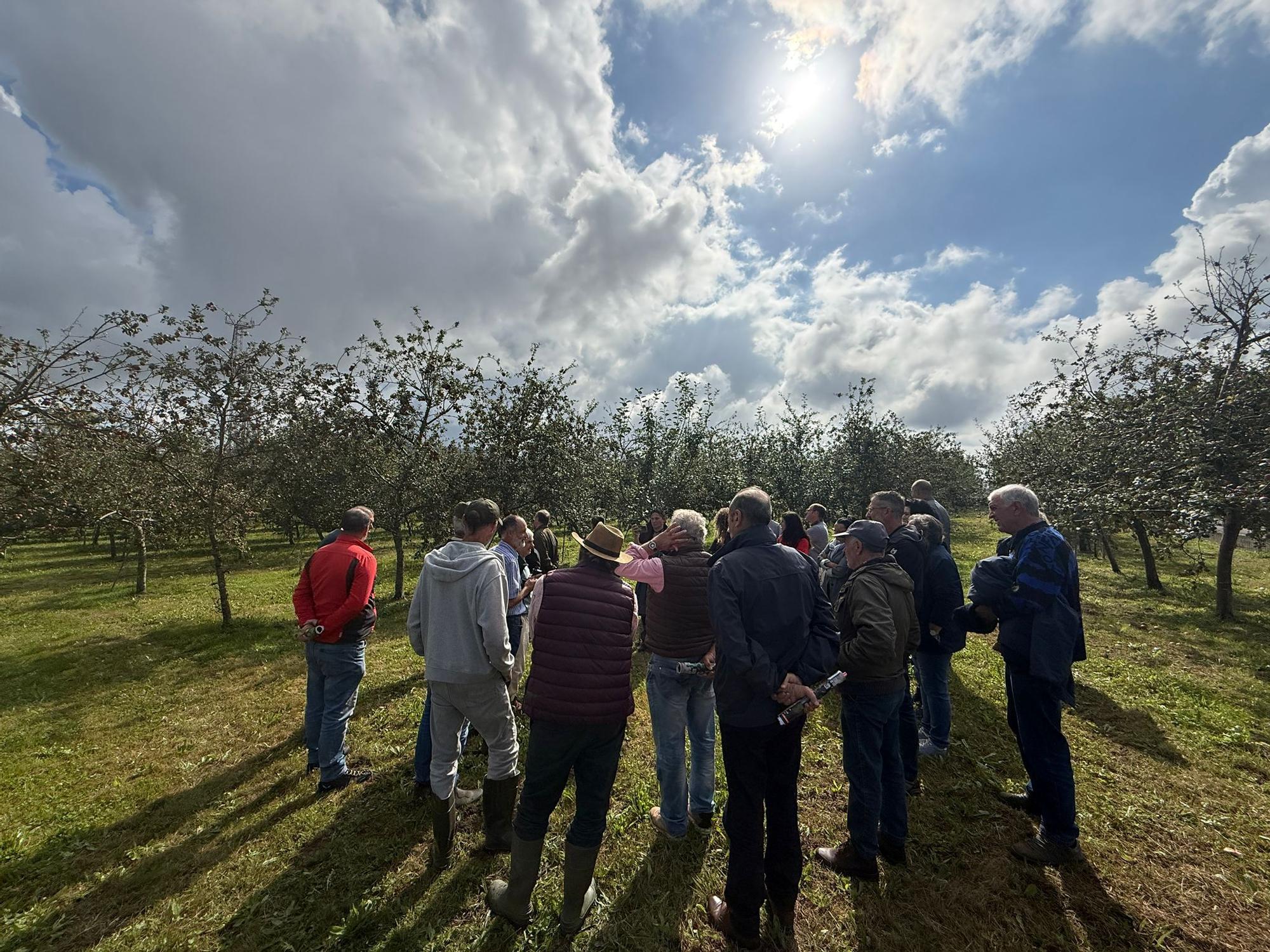 El SERIDA explica sobre el terreno las medidas de protección contra las plagas de roedores en pomaradas