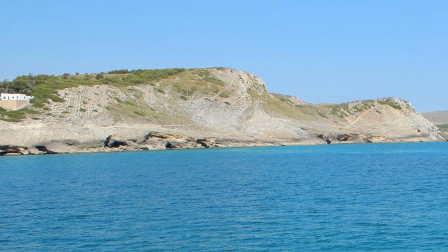 Die Reserva Marina erstreckt sich über eine Fläche von rund 11.000 Hektar zwischen der Playa Son Moll in Cala Ratjada und Colònia Sant Pere.