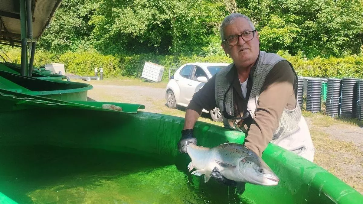 Un pescador se gastará "en juergas" el premio de 9.000 euros por pescar el primer salmón de la temporada en un río