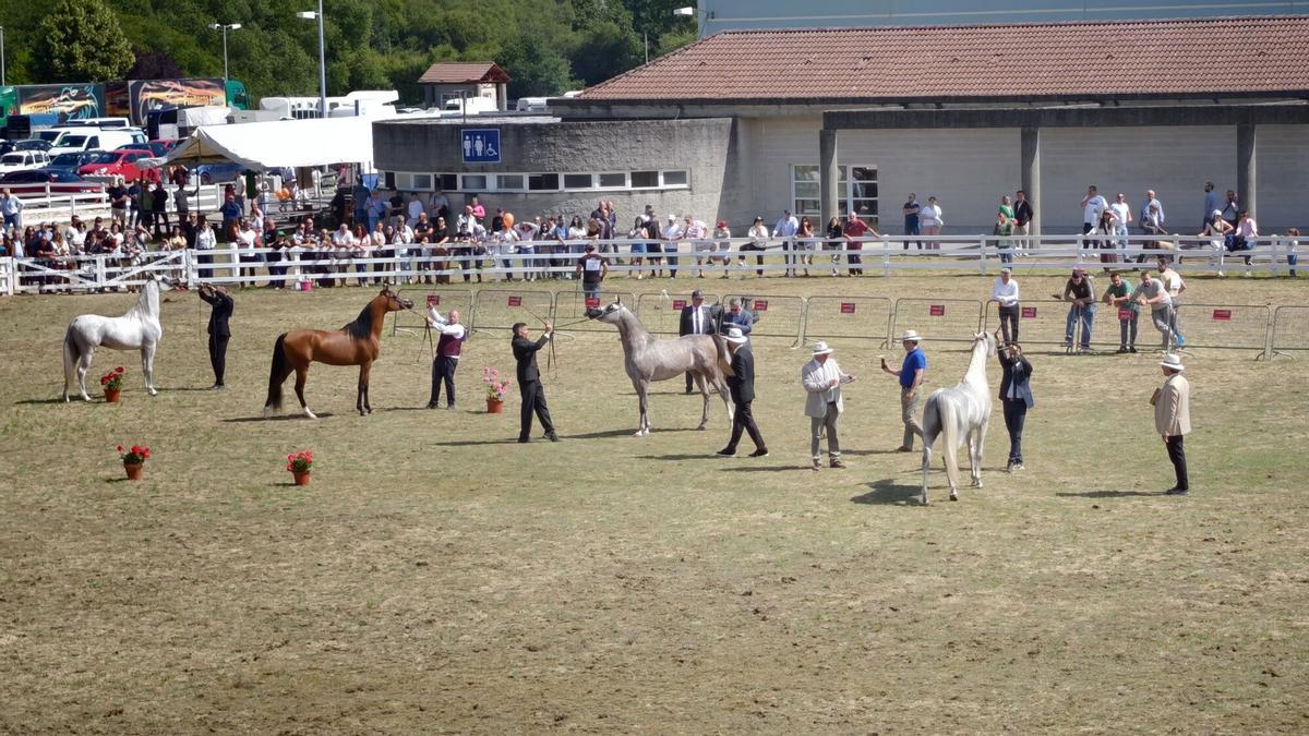 El domingo está cargado de actividades para todos los públicos.