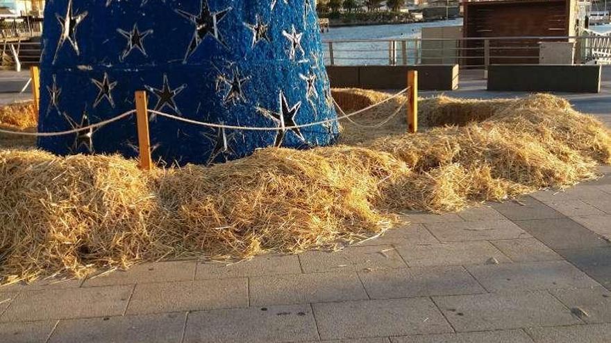 Destrozos en la paja que rodea el árbol navideño