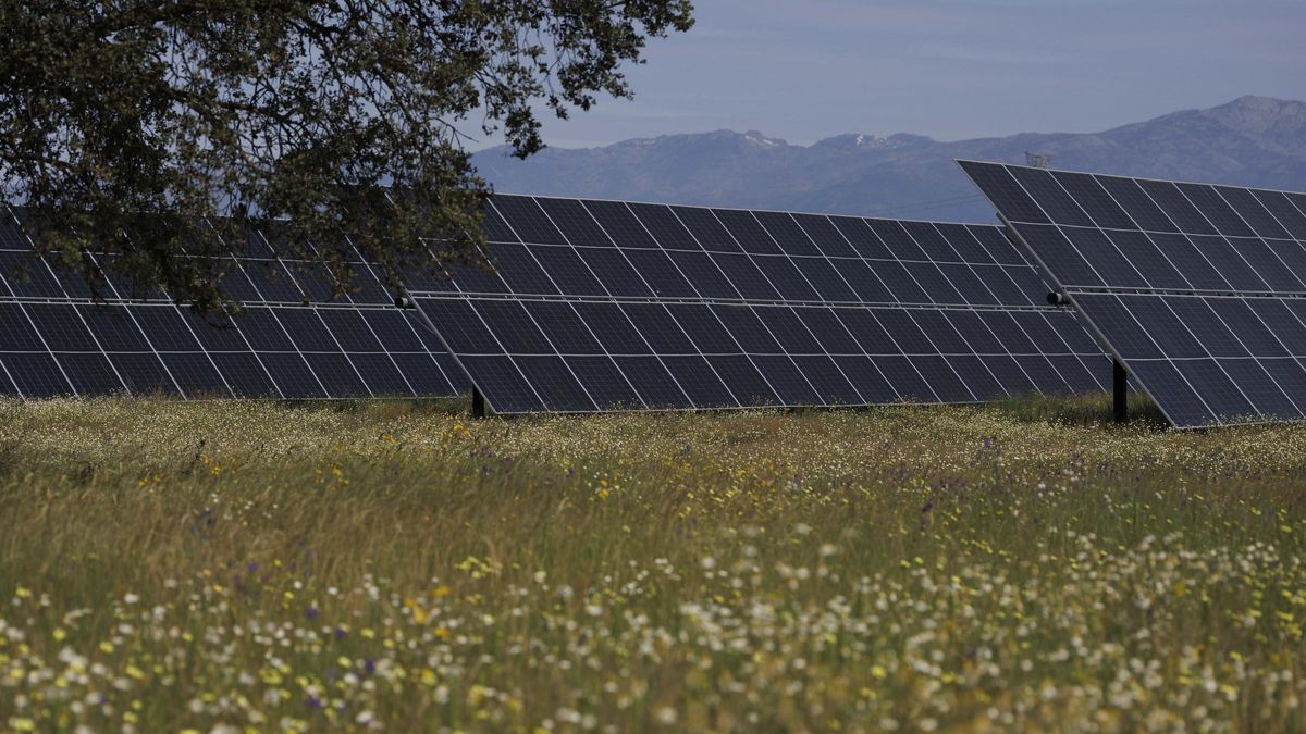 Planta fotovoltaica Talayuela II, de Statkraft.