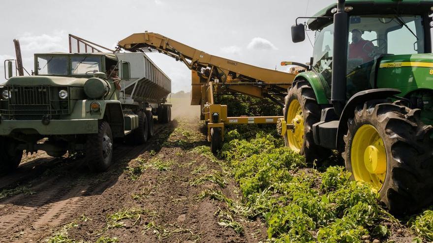 La Cátedra Sipcam ahonda en el desarrollo digital y análisis de datos del sector agrícola. ED