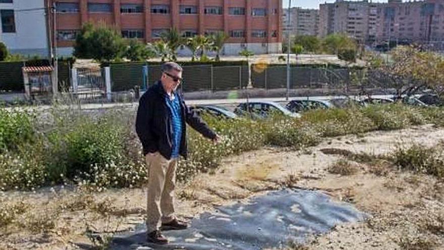 Imagen de las tierras que salieron a la luz en 2017. | A.SANSÓ