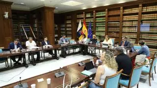 El Parlamento de Canarias constituye el Comité que pondrá en marcha el II Plan de Igualdad