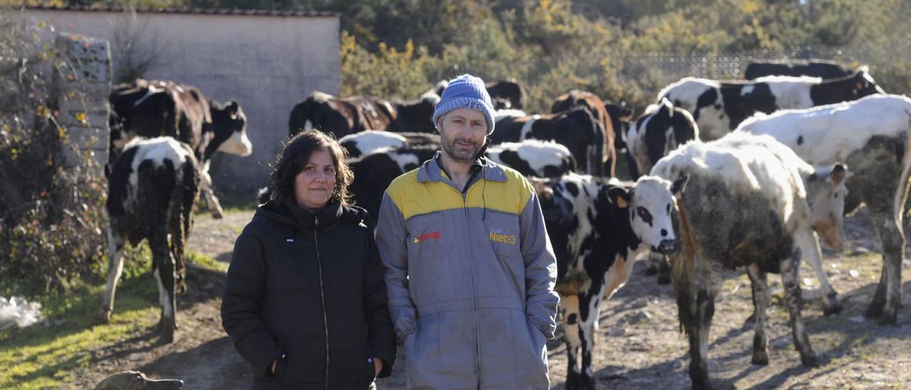 Noelia Neira y Sergio Albor, ayer, en la explotación situada en Vilameá, en la parroquia de Negrelos.