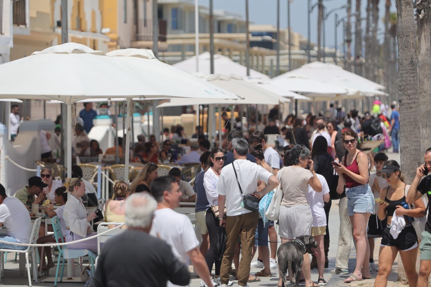 La playa de la Malvarrosa, abarrotada a finales de mayo
