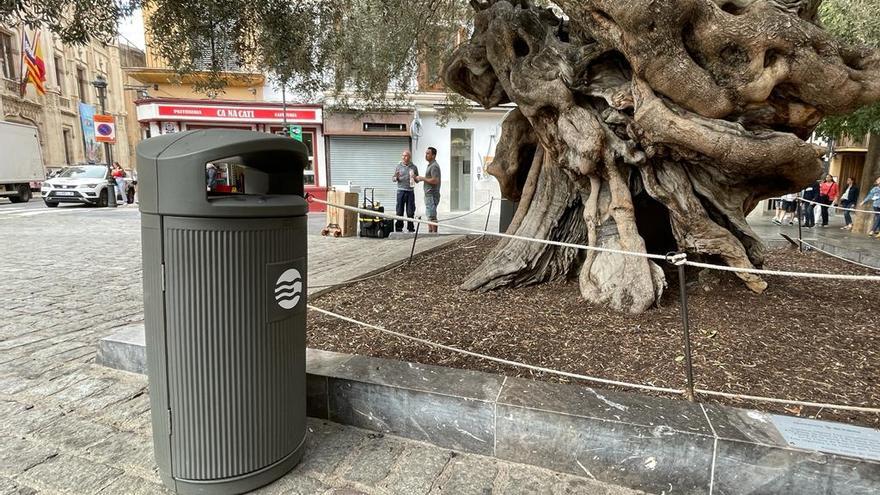 Una nueva papelera se ha situado junto al alcorque del olivo de la plaza de Cort.