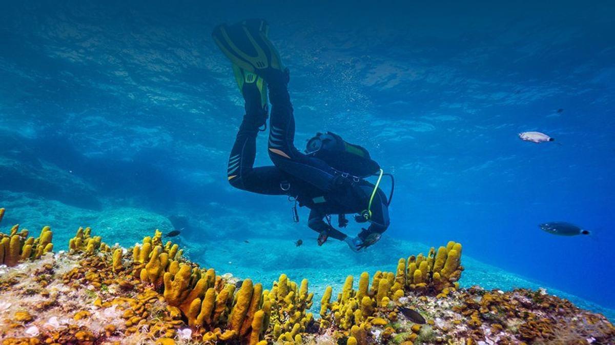 Marc García-Durán Huet, revoluciona la salud oceánica con Underwater Gardens International