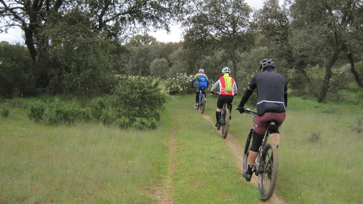 GALERÍA | El "espectácular" sendero de Mózar para BTT