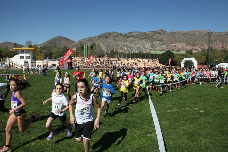 Final Regional de Campo a Través en Edad Escolar