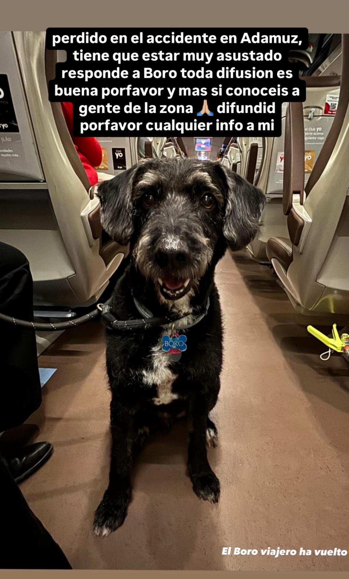 Imágen para la difusión de la desaparición de Boro