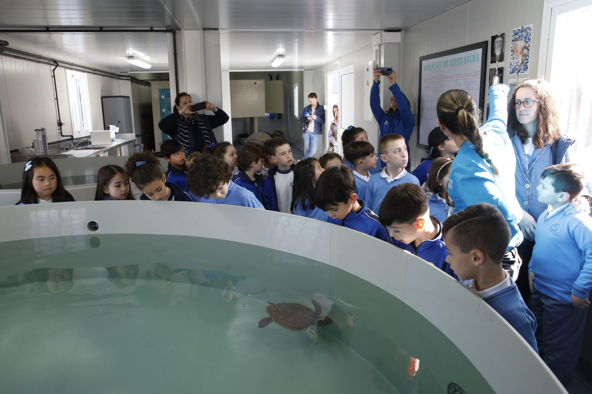 En imágenes: El Acuario de Gijón estrena su nuevo centro de apoyo a la red de varamientos del Principado