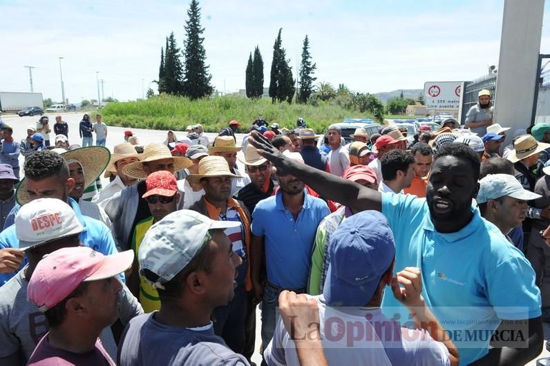 Protesta hortofrutícola en una empresa de El Raal