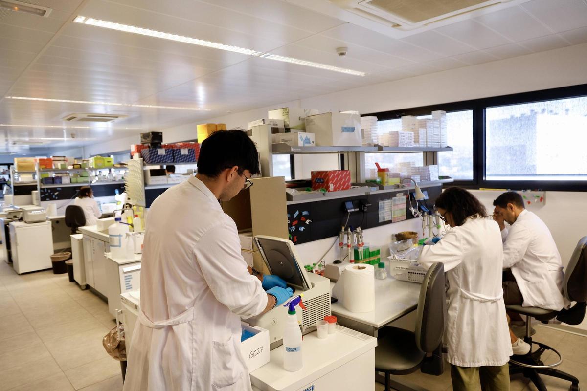 Jóvenes investigadores del Imibic.
