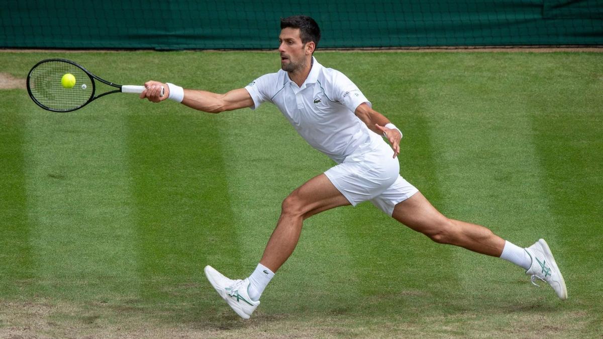 ¿Qui pot frenar Djokovic a Wimbledon?