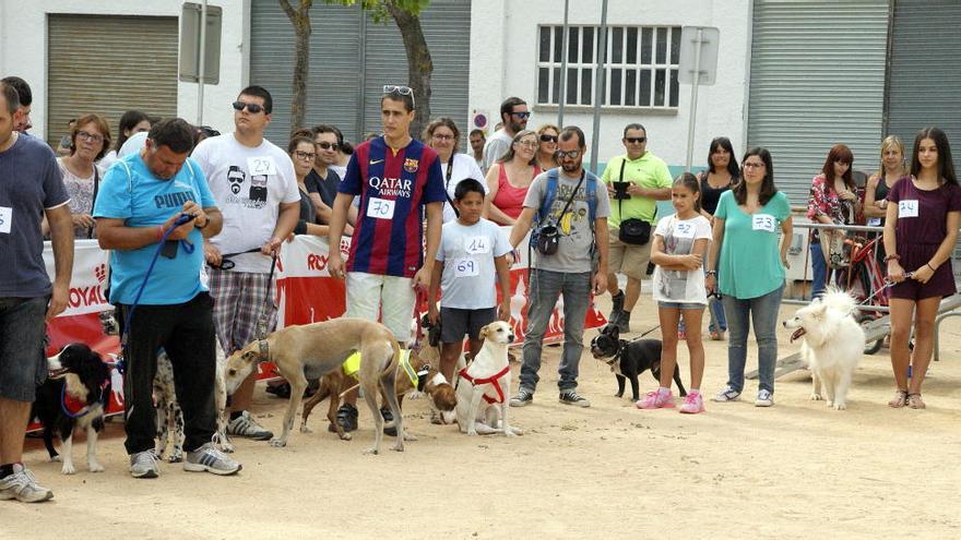 Setena edició del festival caní Festiguau de Santa Cristina