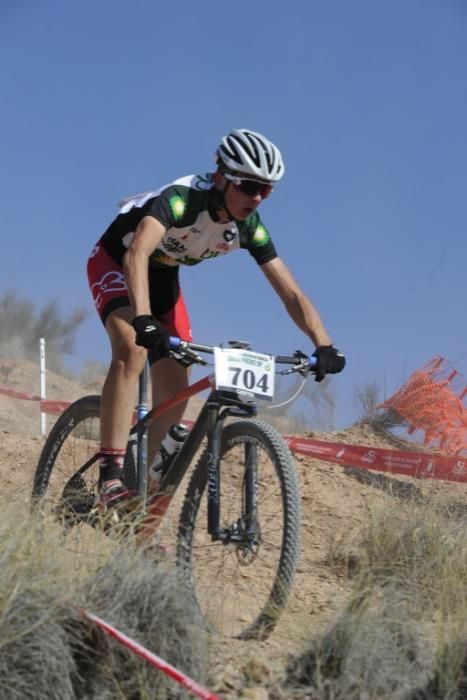 Mountain bike en Molina de Segura