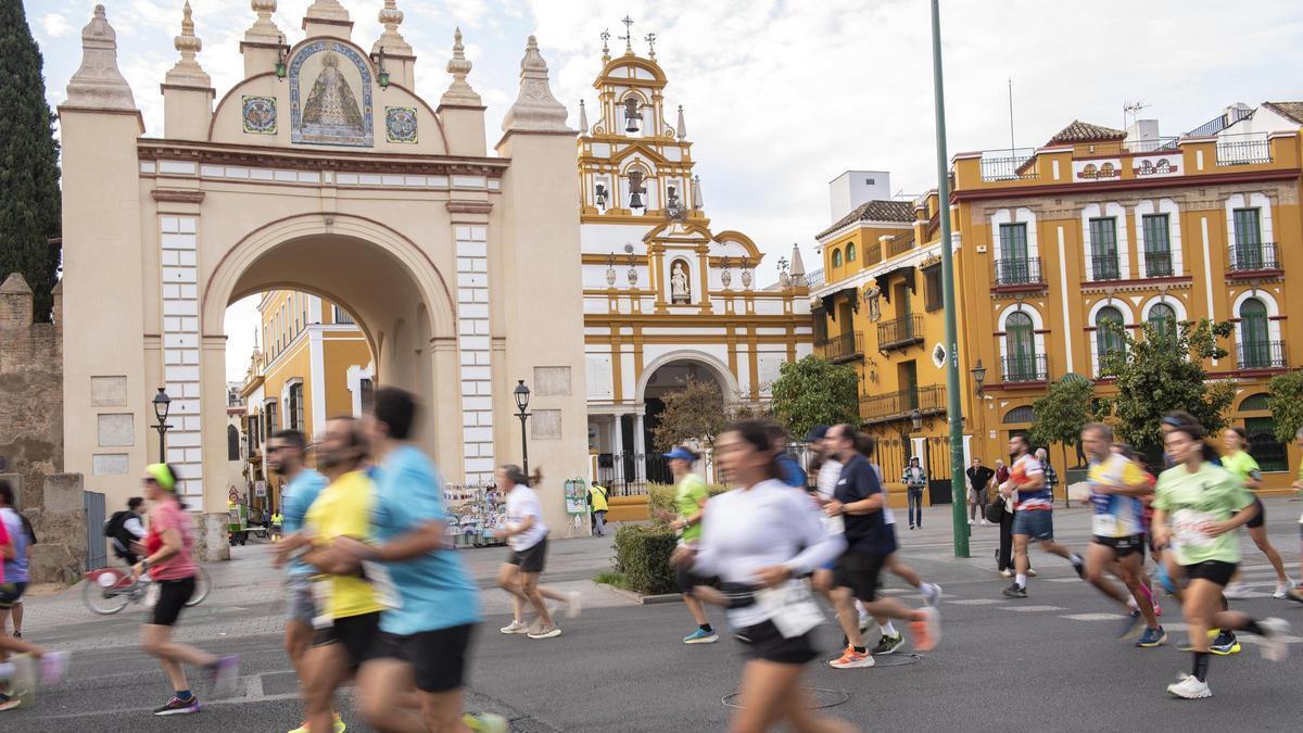 Este fin de semana será el broche final al Circuito Divina Seguros de Carreras del Ayuntamiento, con la quinta y última carrera del año.