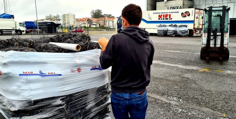 El mejillón para el mercado de fresco (depuradoras) llega a puerto en sacos.