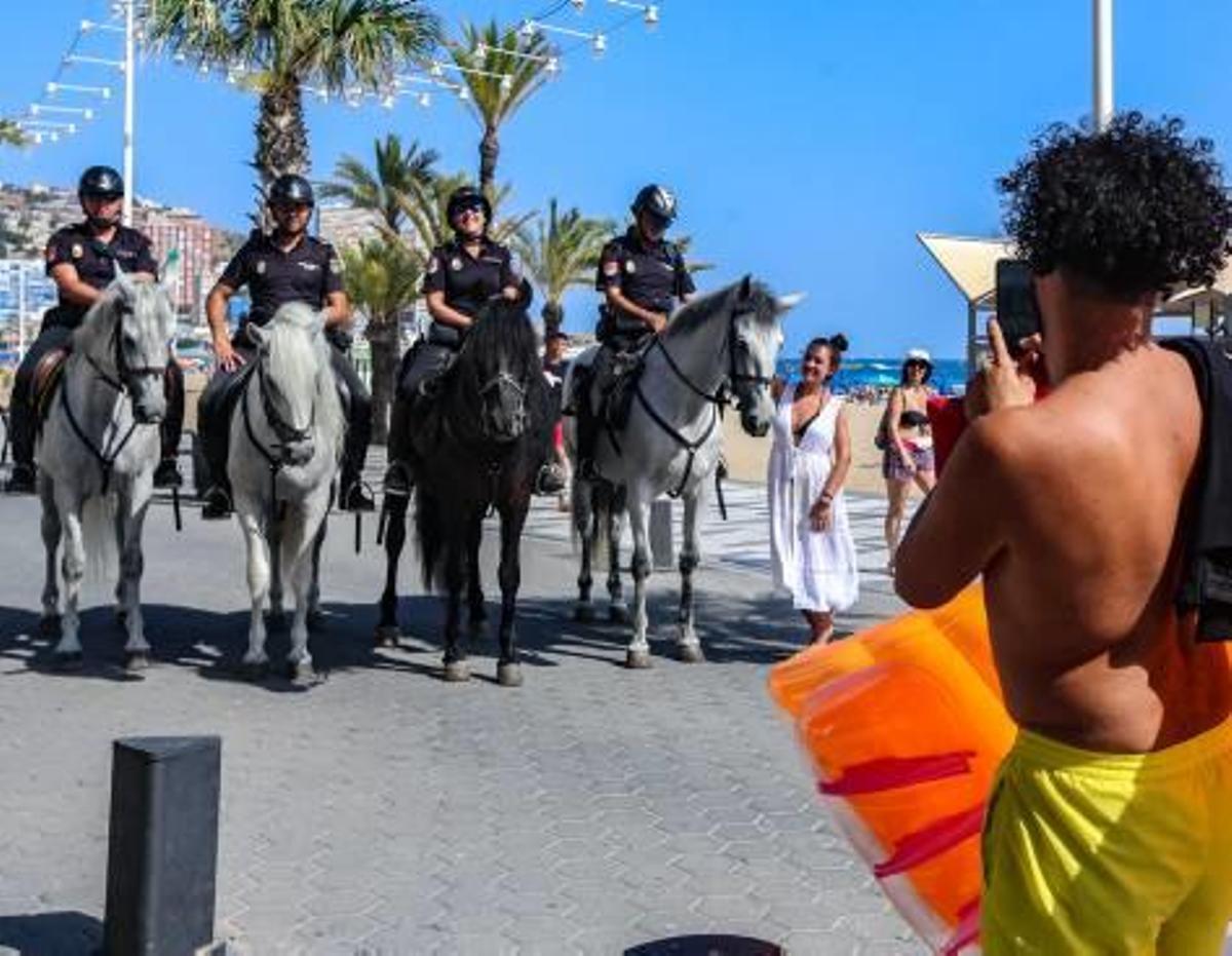 La Caballería vuelve a patrullar en Benidorm