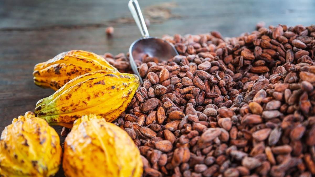 Cacao natural