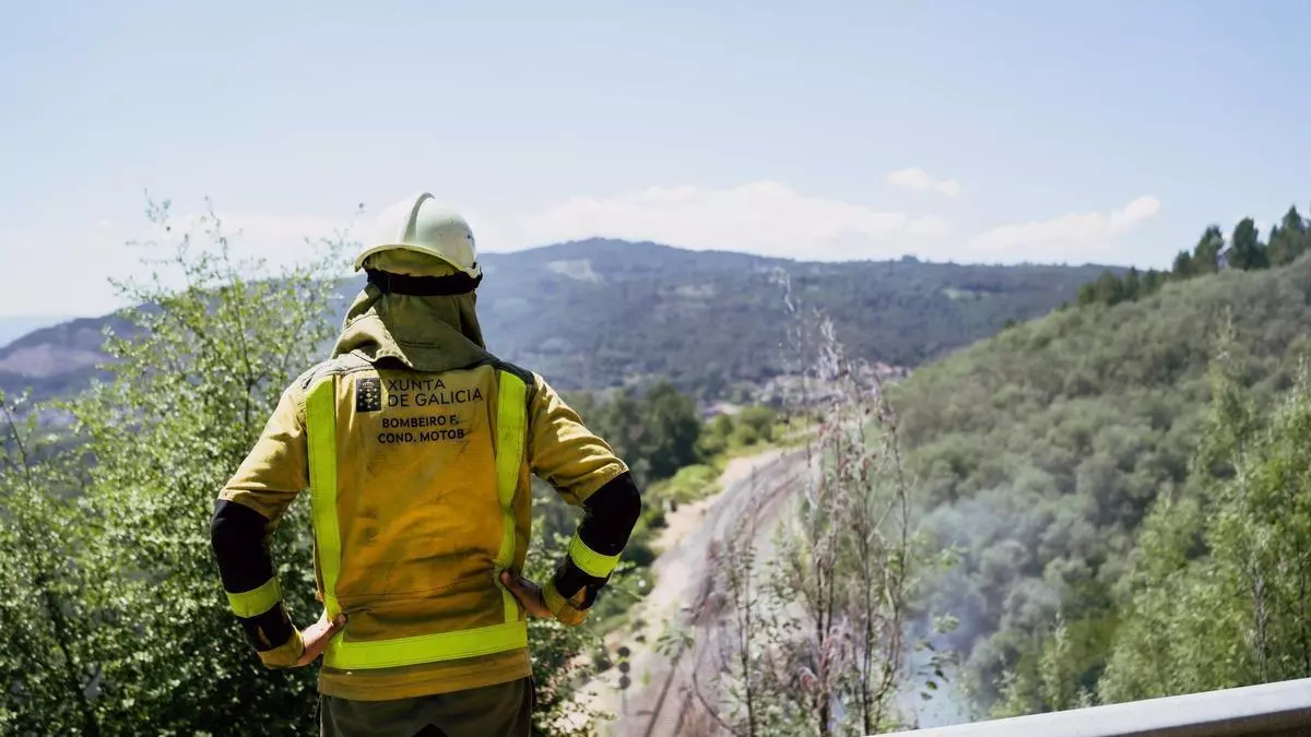 Otro fuego junto a las vías del tren en Ourense aviva la alarma por la falta de desbroces