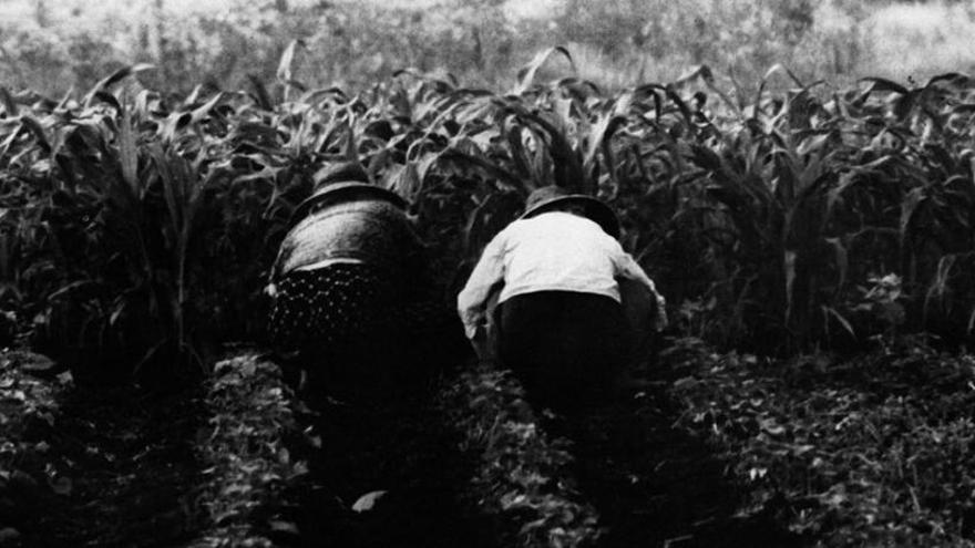 Una fotografía de la exposición.