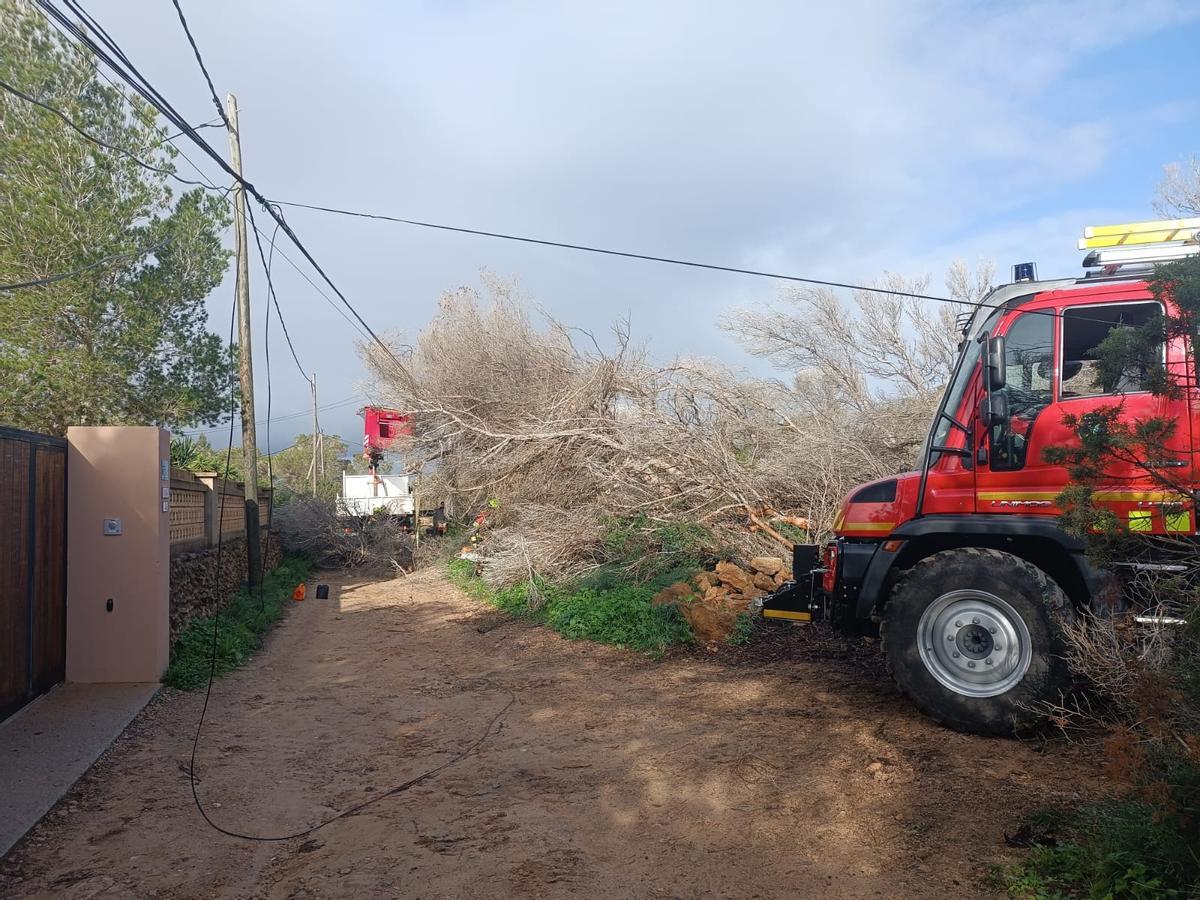 Los bomberos han acudido para retirar un árbol que había caído sobre un tendido eléctrico
