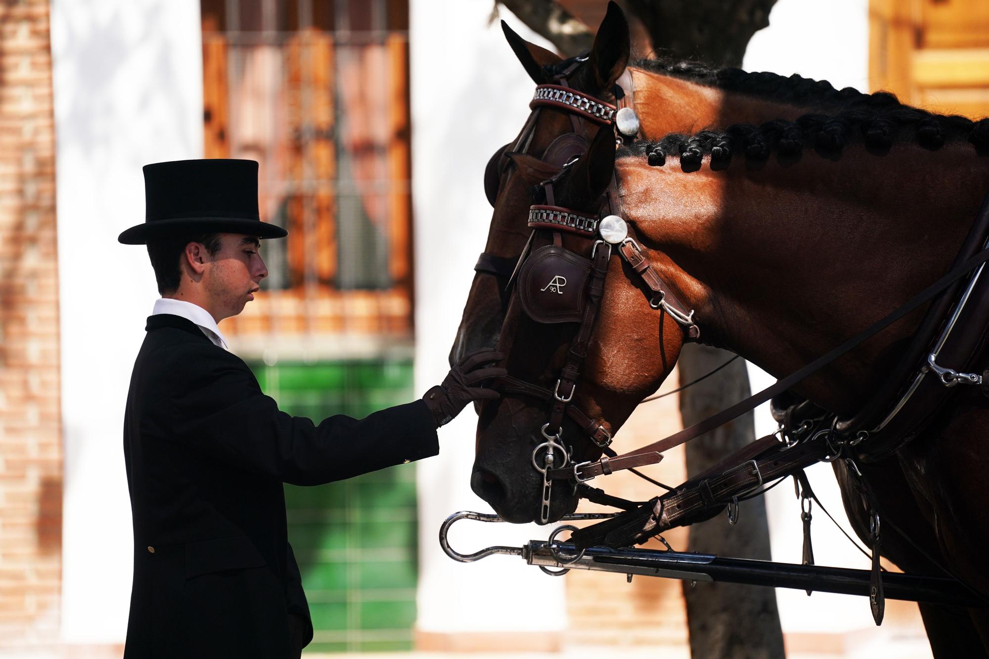 Feria de Málaga 2023 | Caballos y jinetes, esencia de la Feria en el Real