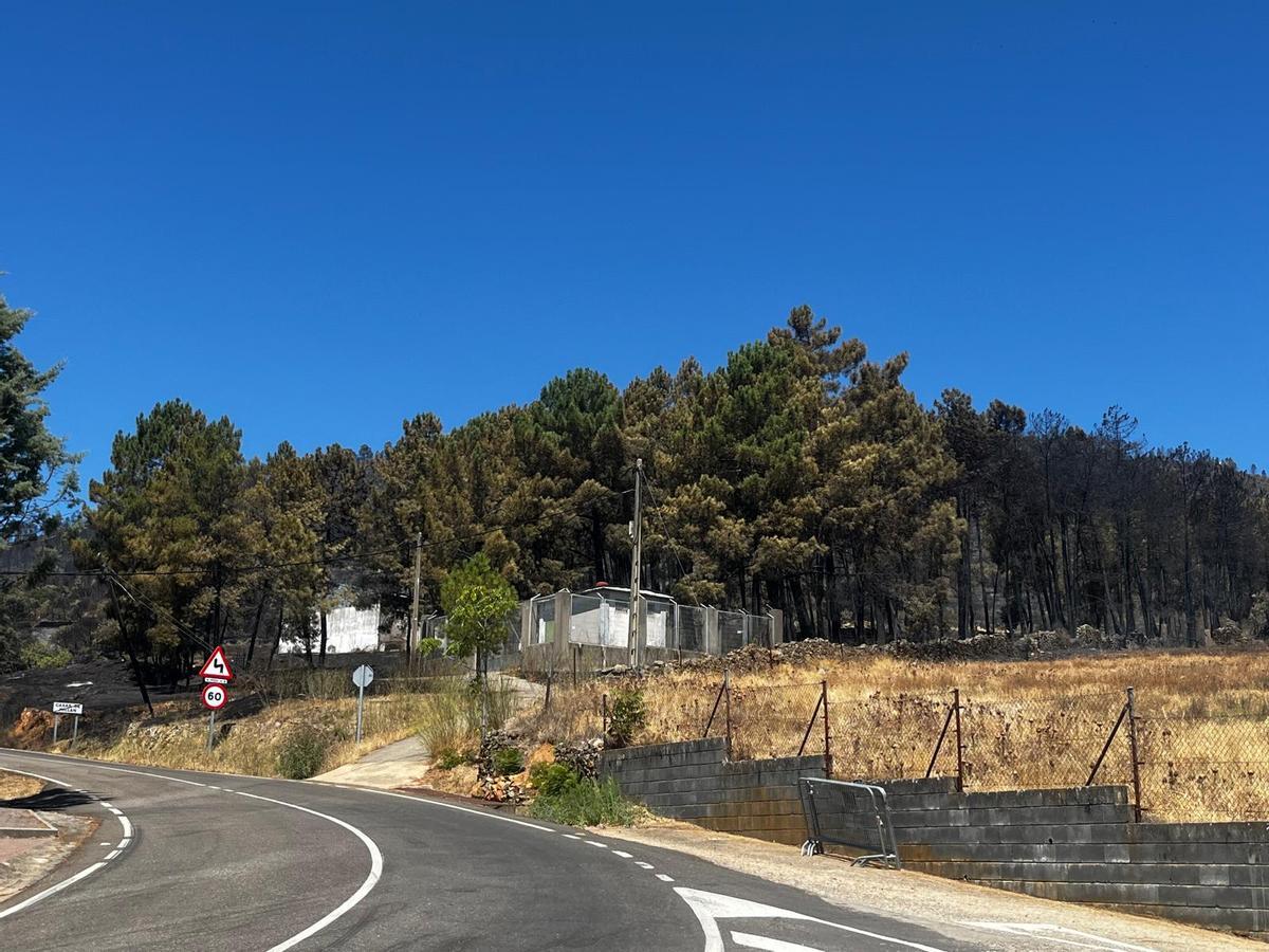 Fotogalería | Así ha quedado la zona de Casas de Millán tras el paso del incendio