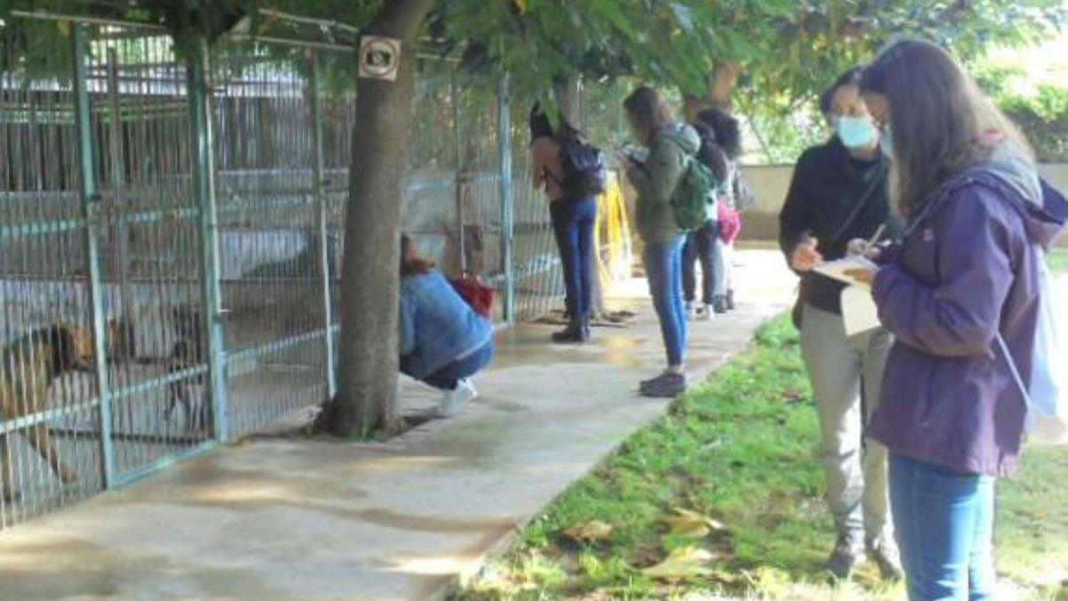 L’actual centre de protecció dels animals i acollida, en una imatge d’arxiu.