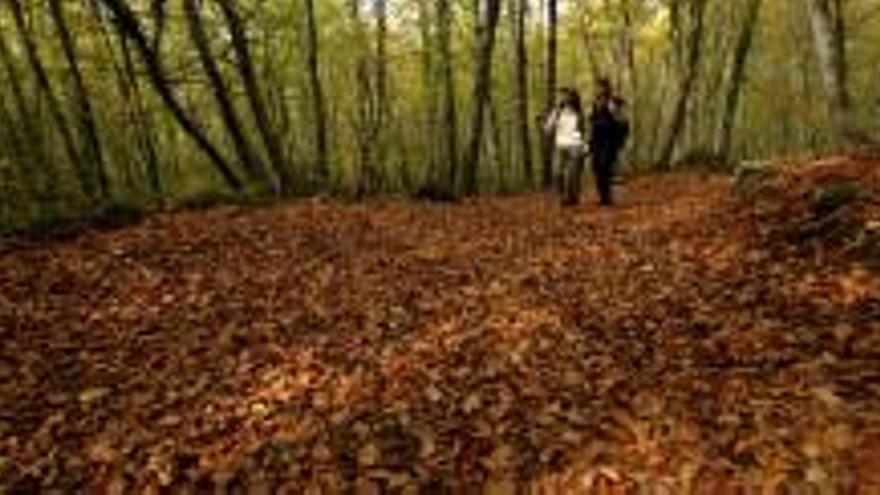 Poesia i pintura a la fageda d’en Jordà