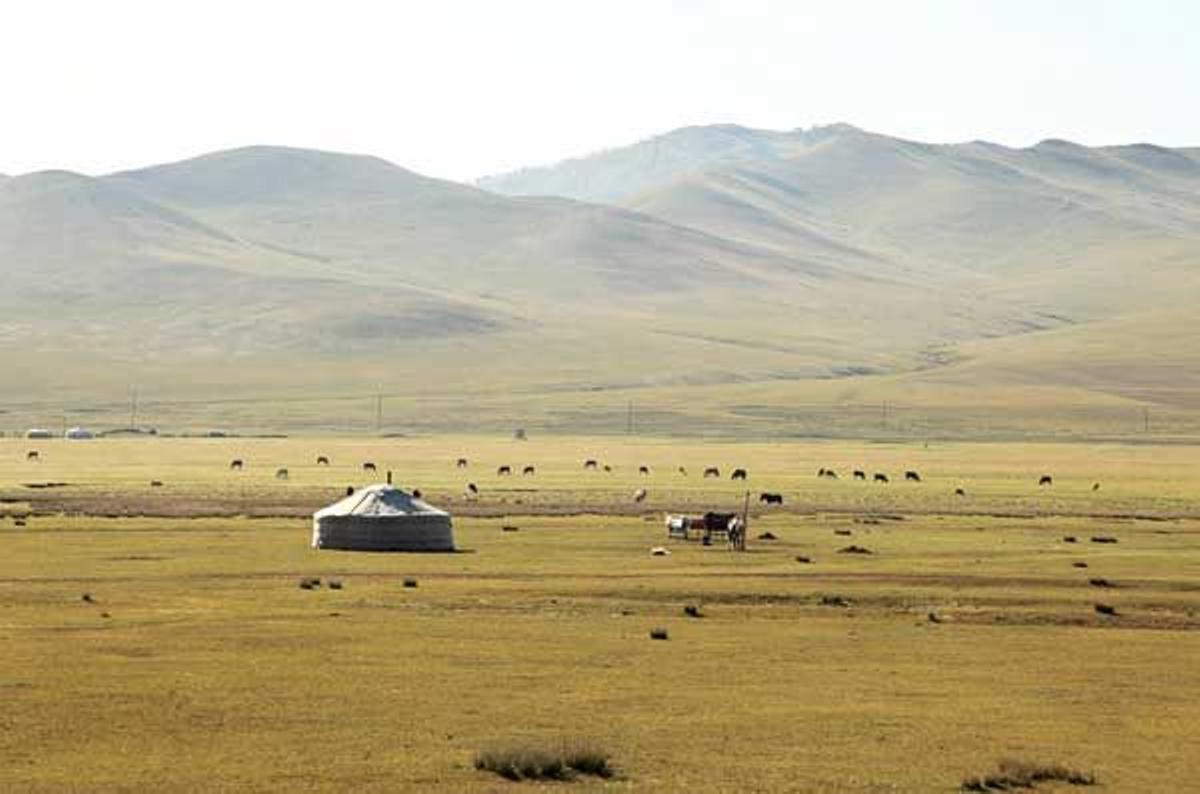 Si por algo se caracteriza Mongolia es por sus llanas estepas.