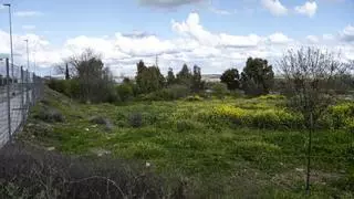 Urvipexsa ya tiene el 'ok' del ayuntamiento para crear el proyecto de las 300 nuevas viviendas en Cáceres