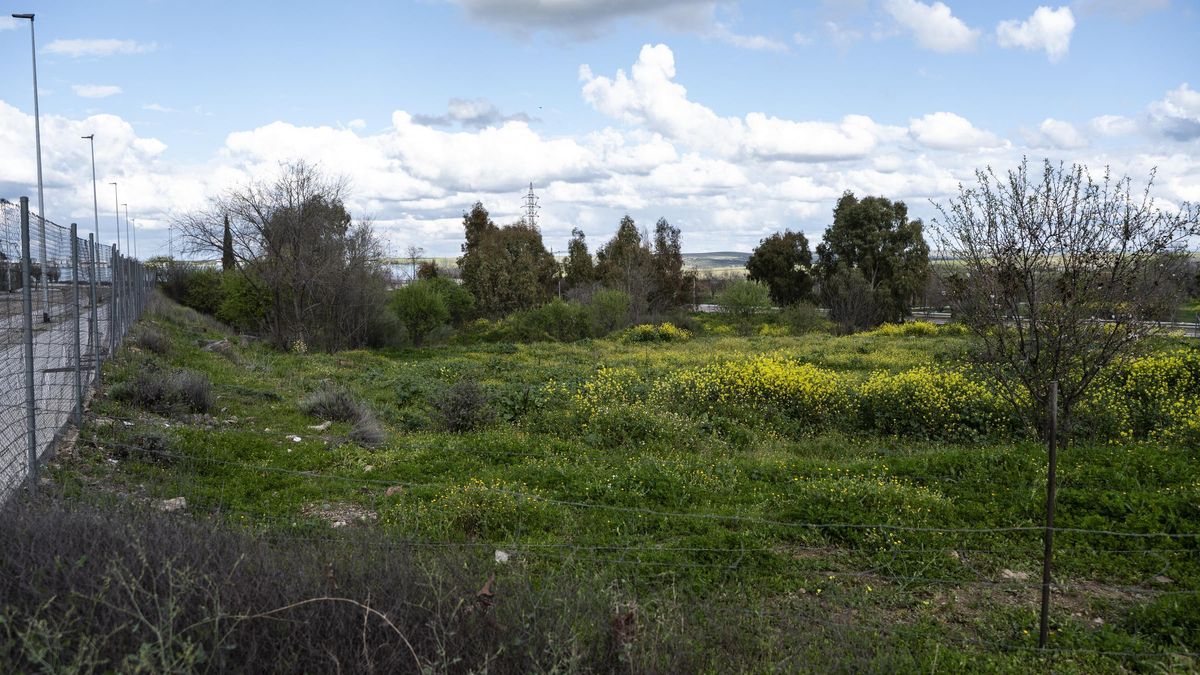 Galería | Solares de Cáceres en los que construirá Urvipexsa 293 viviendas