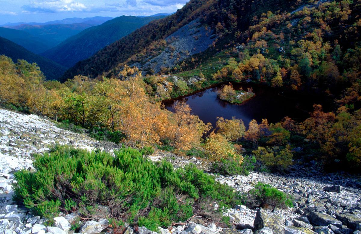 La Isla, en la Reserva Natural Integral de Muniellos