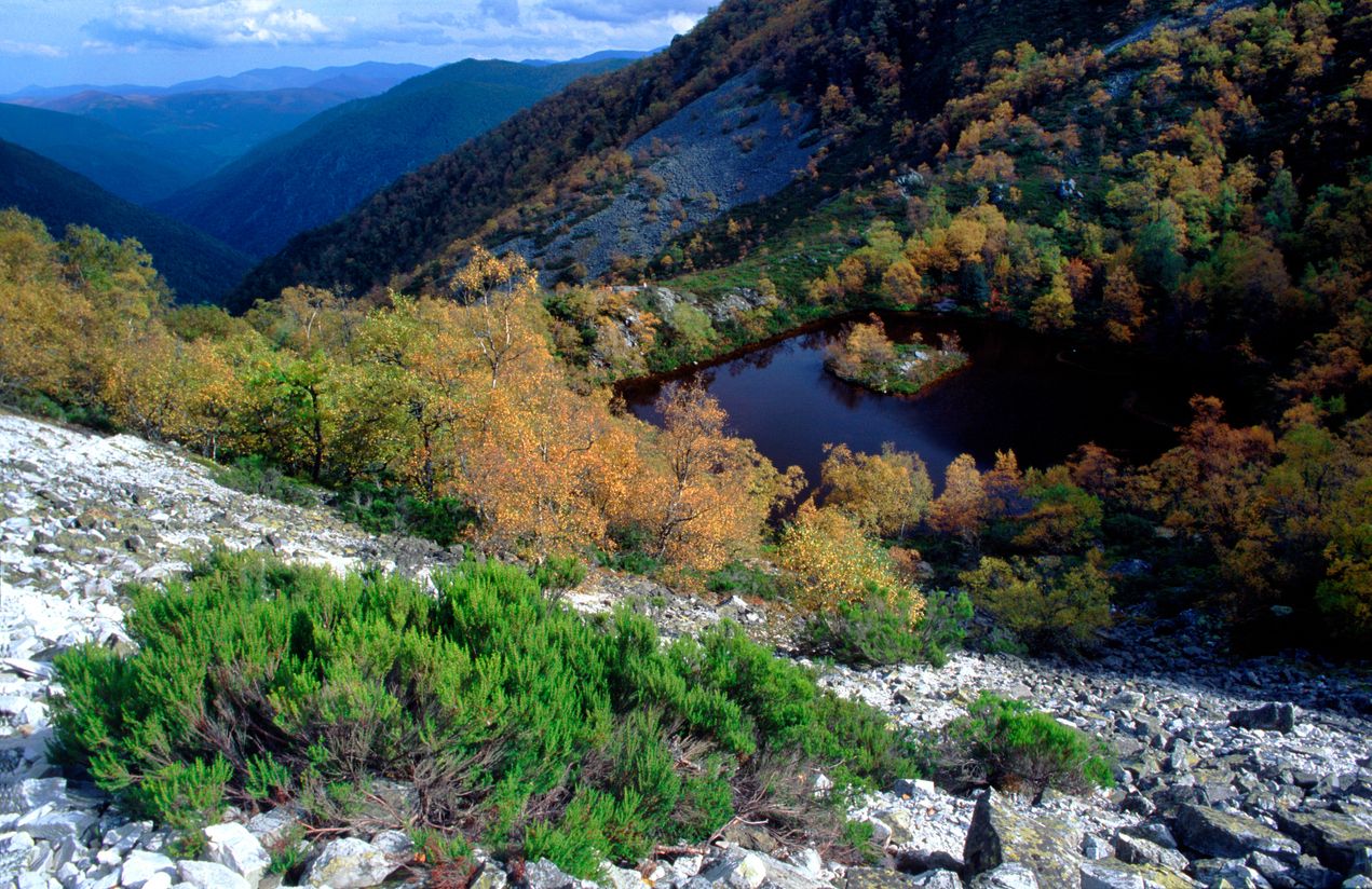 La Isla, en la Reserva Natural Integral de Muniellos